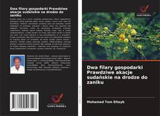 Couverture de Dwa filary gospodarki Prawdziwe akacje sudańskie na drodze do zaniku