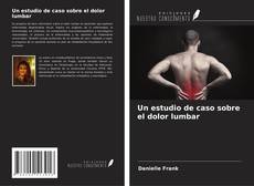Copertina di Un estudio de caso sobre el dolor lumbar