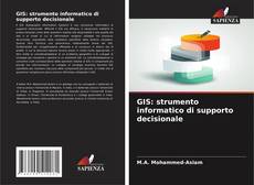 Buchcover von GIS: strumento informatico di supporto decisionale