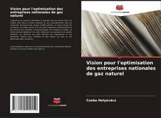 Vision pour l'optimisation des entreprises nationales de gaz naturel的封面