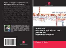 Portada del libro de Apoio ao empreendedorismo nos países em desenvolvimento