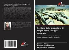 Gestione della produzione di biogas per lo sviluppo regionale kitap kapağı