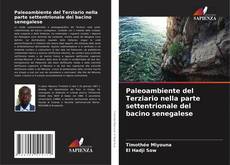 Borítókép a  Paleoambiente del Terziario nella parte settentrionale del bacino senegalese - hoz