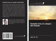 Copertina di Somalia tras el colapso del Estado