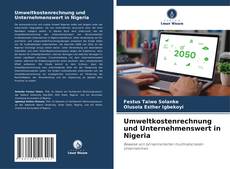 Umweltkostenrechnung und Unternehmenswert in Nigeria的封面