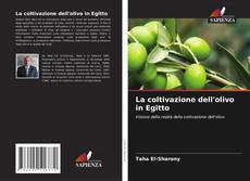 Buchcover von La coltivazione dell'olivo in Egitto
