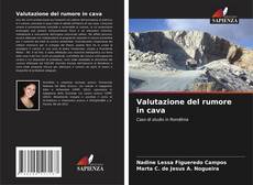 Bookcover of Valutazione del rumore in cava