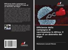 Capa do livro de Efficienza della campagna di vaccinazione in Africa: il caso di un distretto del Niger 