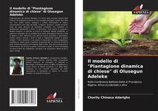 Обложка Il modello di "Piantagione dinamica di chiese" di Olusegun Adeleke