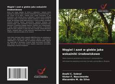 Copertina di Węgiel i azot w glebie jako wskaźniki środowiskowe