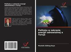 Couverture de Polityka w zakresie energii odnawialnej a Turcja