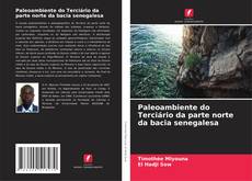 Paleoambiente do Terciário da parte norte da bacia senegalesa的封面