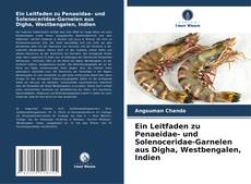 Borítókép a  Ein Leitfaden zu Penaeidae- und Solenoceridae-Garnelen aus Digha, Westbengalen, Indien - hoz