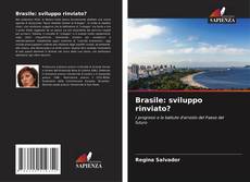 Brasile: sviluppo rinviato?的封面