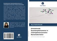 Buchcover von Entstehende Quantenphänomene in niedrigdimensionalen Nanomaterialien