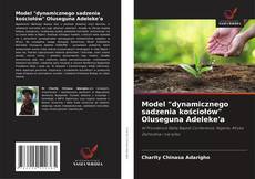 Buchcover von Model "dynamicznego sadzenia kościołów" Oluseguna Adeleke'a