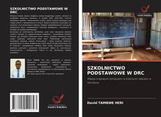 Обложка SZKOLNICTWO PODSTAWOWE W DRC
