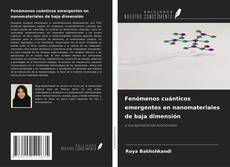 Couverture de Fenómenos cuánticos emergentes en nanomateriales de baja dimensión