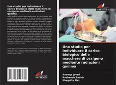 Bookcover of Uno studio per individuare il carico biologico delle maschere di ossigeno mediante radiazioni gamma