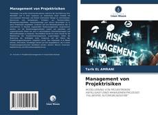 Copertina di Management von Projektrisiken