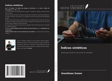 Обложка Índices sintéticos