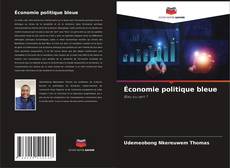 Couverture de Économie politique bleue
