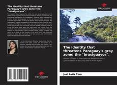 Borítókép a  The identity that threatens Paraguay's gray zone: the "brasiguayos". - hoz