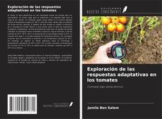 Copertina di Exploración de las respuestas adaptativas en los tomates