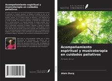 Copertina di Acompañamiento espiritual y musicoterapia en cuidados paliativos