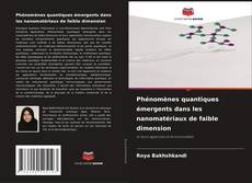 Copertina di Phénomènes quantiques émergents dans les nanomatériaux de faible dimension