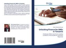 Unlocking Finance for SMEs in Tanzania kitap kapağı