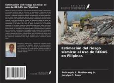Copertina di Estimación del riesgo sísmico: el uso de REDAS en Filipinas