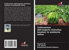 Portada del libro de Coltivazione dell'anguria (Citrullus lanatus) in ambiente salino