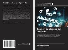 Couverture de Gestión de riesgos del proyecto