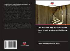 Couverture de Une histoire des maux de l'âme dans la culture luso-brésilienne