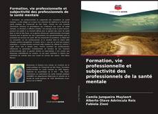 Formation, vie professionnelle et subjectivité des professionnels de la santé mentale的封面