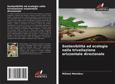 Buchcover von Sostenibilità ed ecologia nella trivellazione orizzontale direzionale