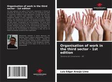 Organisation of work in the third sector - 1st edition的封面