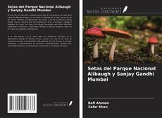 Copertina di Setas del Parque Nacional Alibaugh y Sanjay Gandhi Mumbai