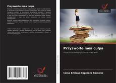 Bookcover of Przyzwoite mea culpa
