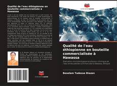 Qualité de l'eau éthiopienne en bouteille commercialisée à Hawassa的封面