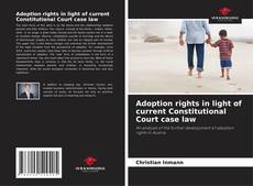 Buchcover von Adoption rights in light of current Constitutional Court case law