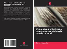 Capa do livro de Visão para a otimização das empresas nacionais de gás natural 