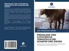 Couverture de PRÄVALENZ VON CYSTICERCUS TENUICOLLIS BEI SCHAFEN UND ZIEGEN