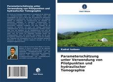 Parameterschätzung unter Verwendung von Pilotpunkten und hydraulischer Tomographie的封面