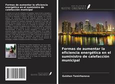 Copertina di Formas de aumentar la eficiencia energética en el suministro de calefacción municipal