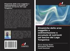 Bookcover of Dinamiche delle aree soggette a sedimentazione e accumulo di nutrienti nel bacino del Lago Tanganica