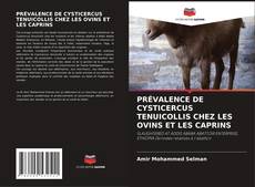 Couverture de PRÉVALENCE DE CYSTICERCUS TENUICOLLIS CHEZ LES OVINS ET LES CAPRINS