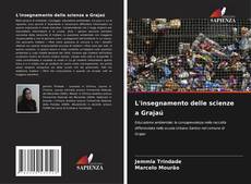Обложка L'insegnamento delle scienze a Grajaú