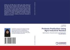 Couverture de Protease Production Using Agro-Industrial Residue